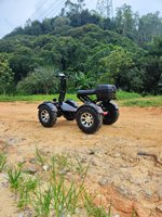 Scooter électrique pliable à suspension intégrale, étanche, batterie 60 Ah, quatre roues, chariot de golf pour adultes