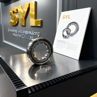 Roulement à rouleaux cylindriques de qualité supérieure de la marque SYL Nu203ecp Nu218 Nu216 Nu210 Nu319 Nu315 Nu314 Nu2332 pour équipements industriels