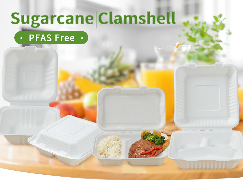 ZX PACKING 9*6 Inch 2 Compartment Disposable Tableware
