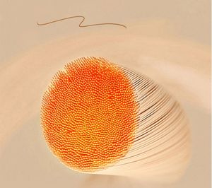 Poly coton personnalisé Spa Salon de beauté Massages <span class=keywords><strong>Table</strong></span> Draps de lit Housse de <span class=keywords><strong>protection</strong></span> étanche - Product Image 6