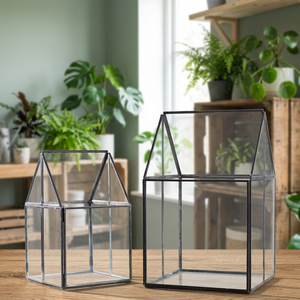 Geometric Glass Terrarium/Glass Terrarium for <b>Plant</b> Holderbox Jewelry Accessories Jewellery Boxes - Product Image 2