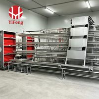 Cage d'élevage de poules pondeuses entièrement automatique de type A, équipement agricole complet avec dispositif de collecte automatique des œufs et de gestion des déchets