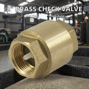Válvula de Retención de Resorte de Latón de Media Pulgada con Estructura de Enchufe Manual Bajo para Uso Industrial - Product Image 3