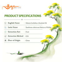 Huile Absolue de Cocklebur de Sibérie (Xanthium Sibiricum Patrin) Extrait 100% Pur, Huile Essentielle Extraite au CO2, Chine, Pour Tous Types de Peau