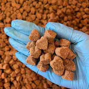 犬のためのOEMフリー & ダニ予防のチューラブルピル - Product Image 6