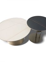 Table basse de style italien, luxe léger, grand plateau en marbre, structure en acier inoxydable, design minimaliste moderne pour le salon