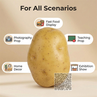 Modelo de Patata Artificial Realista de Primera Calidad para Exhibición en la Industria Vegetal, Patatas Falsas de Grado Comercial para Cadenas de Tiendas