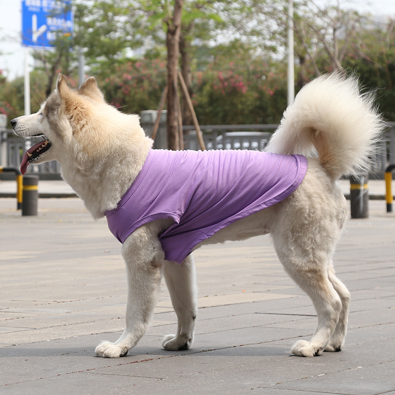 Gilet en pur coton violet