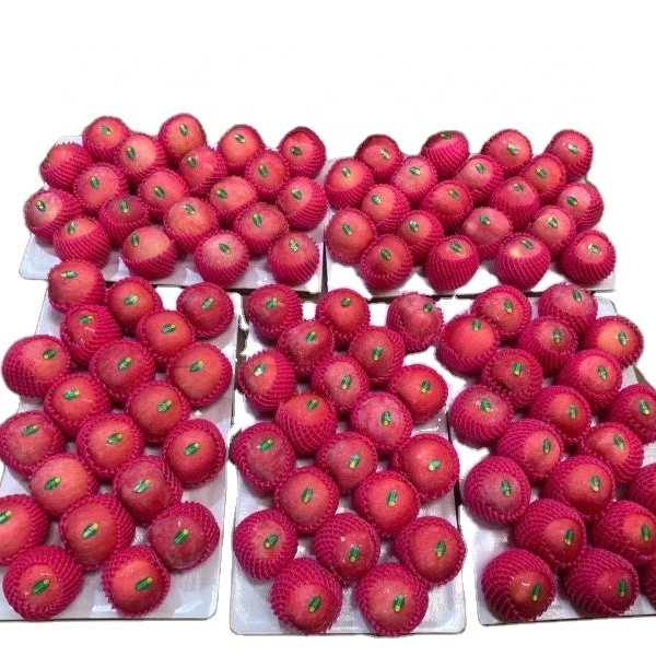 Venta caliente de manzanas de Gala frescas orgánicas de China/manzana roja/PRECIO DE MANZANA Fuji