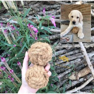 Juguete Ecológico de Cuerda y Pelota para Perros Hecho de Fibra de Coco Natural, Fabricado en VIETNAM HOANG LINH SG - Product Image 6