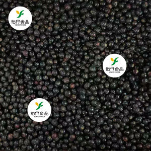 BRC HACCP Distribuir a granel al por mayor Nueva cosecha IQF Grosella negra congelada - Product Image 3