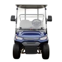 Kendaraan Golf Car Listrik Buggy 2 Penumpang, Menerima Pesanan Khusus