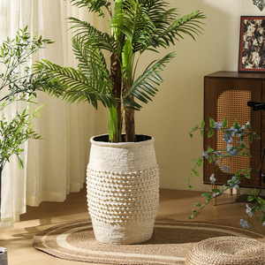 <span class=keywords><strong>Vaso</strong></span> Alto Moderno Minimalista <span class=keywords><strong>in</strong></span> Argilla di Magnesio <span class=keywords><strong>da</strong></span> Terra per Soggiorno Hotel Centro Commerciale <span class=keywords><strong>Vaso</strong></span> Decorativo per Piante - Product Image 5