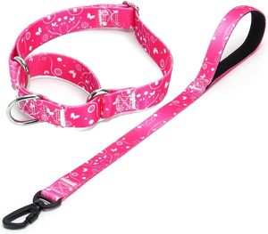 Laisse pour chien personnalisée avec impression, réglable, pour la promenade en extérieur, en néoprène doux, luxe, mains libres - Product Image 1
