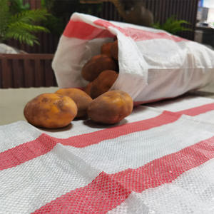 Bolsa de poliestireno de frijol de alta calidad, bolsa tejida Pp para azúcar, arroz, harina, alimentación de semillas, bolsas de carbón vegetal - Product Image 5