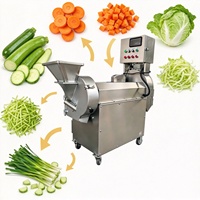 Ervarangetrouwd 	 Commerciële machine voor het snijden van lente-ui, kool, aardappel, komkommer en andere groenten 	 Fruitverwerkingsmachine