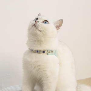 犬用ハーネス革製 - Product Image 5