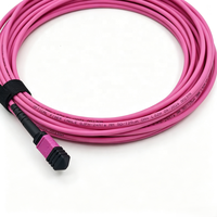 Cordon de brassage fibre optique MPO-MPO multimode 10G OM3 OM4 8/12/24 fibres LSZH à faible perte d'insertion pour câblage haute densité de centre de données