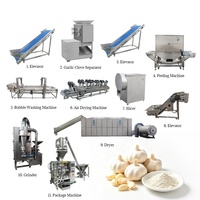 Ligne de production professionnelle d'ail en poudre à prix de gros, ligne de production d'ail automatique avec sécheur, ligne de production de poudre d'oignon