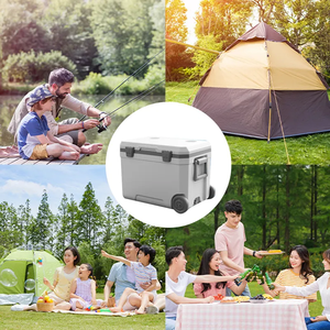 Nevera Portátil con Ruedas de 45L Impermeable para Camping al Aire Libre Incubadora Refrigerador para Conservación de Frescura Material PP Almacenamiento de Alimentos <span class=keywords><strong>HSI</strong></span> - Product Image 6