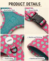 Ensemble de harnais pour chien anti-traction personnalisé, collier rembourré doux, laisse et harnais de qualité supérieure pour chien, distributeur de sacs à déjections canines, accessoires pour animaux de compagnie