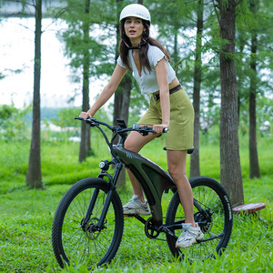 Bicicleta de Montaña con Batería Integrada de Nuevo Diseño, America 250w, Batería Oculta, Bici Moto Q5, Batería de 48 Voltios, Bici España - Product Image 2