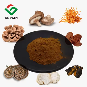 Mantar tozu doğal Reishi Lions Mane Cordyceps Chaga <span class=keywords><strong>Maitake</strong></span> mantar özü karışımı tozu - Product Image 2