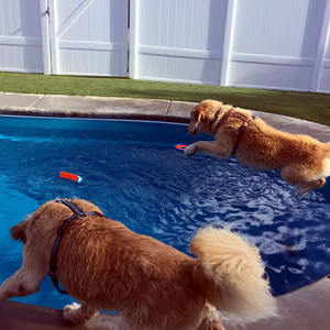 Venta al por mayor tamaño personalizado al aire libre enterrado niños pequeño perro <span class=keywords><strong>piscina</strong></span> mascota fibra de vidrio buceo <span class=keywords><strong>piscina</strong></span> sobre el suelo <span class=keywords><strong>piscina</strong></span> - Product Image 3