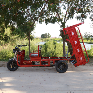 Low-Cost Gas-Powered Tricycle for Efficient Goods Transportation Reliable Tricycle <b>Gasoline</b> Motorcycle - Product Image 2
