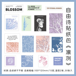 Confezione di adesivi da 30 pz/pacco con confezione di adesivi in stile <span class=keywords><strong>Verse</strong></span> serie in stile manuale fai da te - Product Image 6