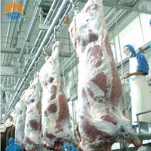 Ligne d'abattage de bovins halal clé en main, équipement de transformation de viande pour abattoir, machine d'abattage, usine chinoise - Product Image 4