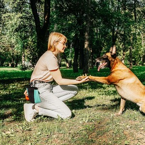 Muestra Gratis, Bolsa Portátil para Premios de Mascotas, Bolsa de Lona para Comida de Perro, Bolsa de Almacenamiento de Comida para Perro con Cordón, Bolsa de Entrenamiento para Premios de Perro - Product Image 2