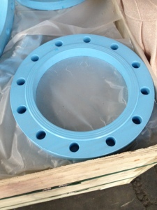 Mặt Bích Lót 2 Mặt Bích Bằng Thép Carbon 150 Lb, 1/2in, RF - Product Image 6