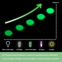 Pigment céramique de photoluminescence lumineuse colorée de poudre foncée de lueur imperméable de Junting pour des applications décoratives
