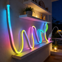 Tiras de Luz de Neón Personalizables con Instalación Flexible, Venta al por Mayor para Decoración del Hogar y Comercial