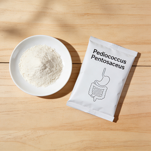 Pediococcus Pentosaceus Probiotiques <span class=keywords><strong>de</strong></span> haute <span class=keywords><strong>qualité</strong></span> pour la fermentation Poudre <span class=keywords><strong>de</strong></span> Pediococcus Pentosaceus - Product Image 1