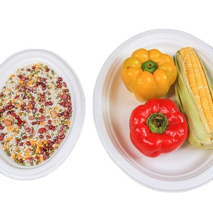 Disposable Sugarcane Bagasse Eco-Friendly Compostable Plates Sets Plastic Foam Disposable Plates Oval Plate