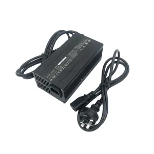 Factory Wholesale Portable Black /sliver / Customized 24v Lifeo4 Battery Charger