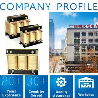 Supresor de Armónicos y Atenuador de Onda Pura para Reactor de CA Trifásico con Salida de Cobre 160KW 0.38KV 330A 50/60Hz