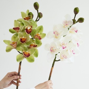 Meilleur <span class=keywords><strong>Prix</strong></span> – <span class=keywords><strong>Orchidée</strong></span> <span class=keywords><strong>Cymbidium</strong></span> Artificielle en Soie, Simulation, Tête Unique, Grande Fleur à 8 Têtes pour Décoration Maison, Mariage, Fête - Product Image 2