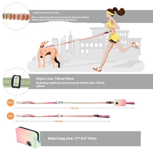 HIPHOPPET Freisprechen Bungee Hunde leine Halsband Set mit Poop Taschen Auto Sicherheits gurt Reflektieren der Streifen No Pull Nylon Halsband für große Hunde - Product Image 5