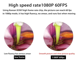 ระบบกล้องส่องตรวจภายในสัตว์แบบพกพา ความละเอียดสูง สำหรับโรงพยาบาลสัตว์ - Product Image 4