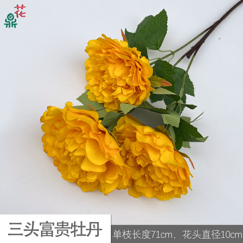 Three heads of rich peonies cy yellow
