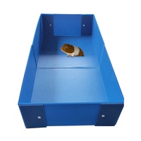 Vente en gros 3 pièces/ensemble Coroplast feuilles cochon d'inde Cage bricolage à vendre