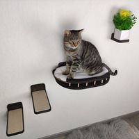 Étagère d'escalade murale pour chat, escalier pour chat à quatre marches avec toile de Jute à gratter pour chats, fournitures de plate-forme de perche CNLF