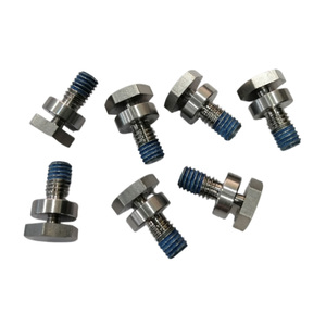 Perno de seguridad antirrobo de acero inoxidable 304 con cabeza hexagonal para cercas, portones y señales exteriores - Product Image 6