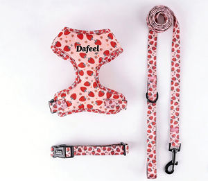 Conjunto de Collar, Correa y Arnés para Perro, Personalizable con Logotipo, Ajustable, Acolchado y Suave, para Paseos al Aire Libre - Product Image 6