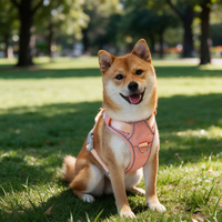 Fabricant ODM OEM, harnais pour chien personnalisé avec AirTag, harnais réglable pour animaux de compagnie avec support pour traceur