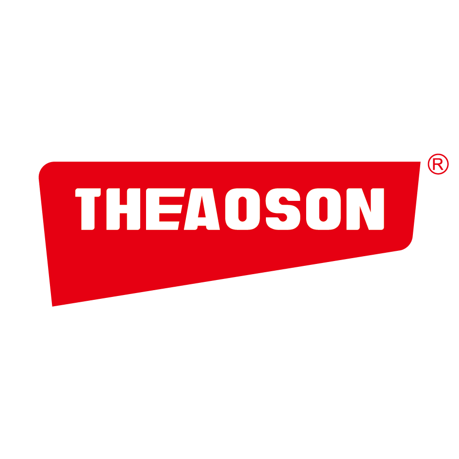 Shenzhen Theaoson Technology Development Co., Ltd.