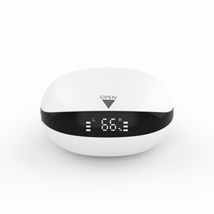 Aides auditives invisibles de haute qualité 2024 Acouphènes 4 canaux Rechargeable Affichage LED POPO RP40M Garantie 13 mois - Product Image 2